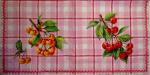 004 Cherries,  Plums (yellow)